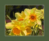 improper use of oxycontin image healthtips images